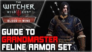 WITCHER 3 Grandmaster FELINE Armor Set GUIDE ► Diagrams Locations Crafting Stats Appearance [upl. by Eirelam628]