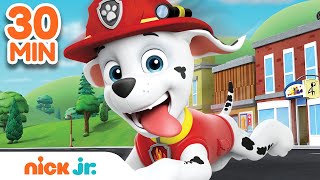 Best of Marshall 🐶 PAW Patrol  30 Minute Compilation  Nick Jr [upl. by Yort]