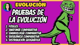 Pruebas científicas de la evolución  Evolución [upl. by Dlaner556]