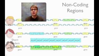 DNA Fingerprinting [upl. by Loginov]