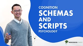 Schemas and Scripts for Cognition [upl. by Hewes342]