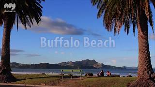 Best Beaches Of The Coromandel New Zealand [upl. by Iggam]