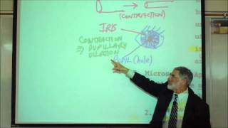 ANATOMY VISCERAL SMOOTH MUSCLE amp CARDIAC MUSCLE HISTOLOGY by Professor Fink [upl. by Alleuqahs]