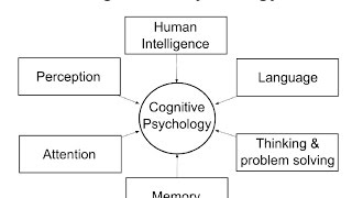 Cognitive Psychology Introduction [upl. by Suhail638]