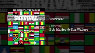 Survival 1979  Bob Marley amp The Wailers [upl. by Irtimed]