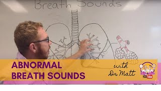 Abnormal Breath Sounds  Respiratory System [upl. by Nakashima]