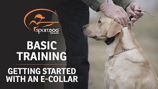 Basic Training  Getting Started with an ECollar [upl. by Andrel]