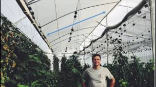 Tropical and Hot Climate Greenhouse Design Natural Ventilation Augmented Cooling NVAC Greenhouse [upl. by Inod]