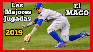 MLB Javier Báez LAS MEJORES JUGADAS El Mago baseball compilation [upl. by Gnet111]