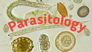 Introduction of Parasitology  Type of parasites and Host [upl. by Lambertson377]