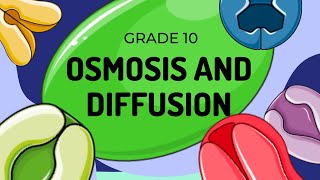 Diffusion and Osmosis [upl. by Claybourne]