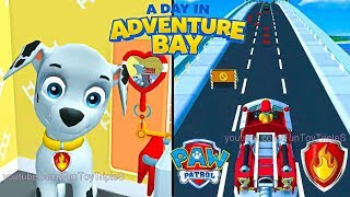 PAW Patrol A Day in Adventure Bay  Marshall 2 [upl. by Lenahs552]