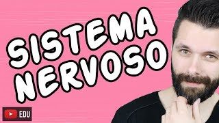 SISTEMA NERVOSO  FISIOLOGIA  Aula  Biologia com Samuel Cunha [upl. by Aeriel648]