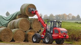 Weidemann – Teleskopradlader 4080LPT Einsatz in der Landwirtschaft [upl. by Annoyt617]