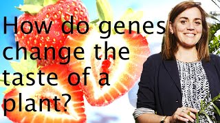 Genome duplication polypoidy amp plant traits  Kathy Willis 🧬🍓 [upl. by Patin]