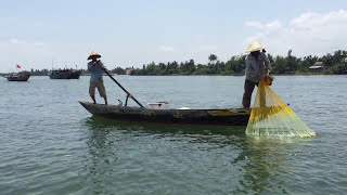 Throw Net Fishing Vietnam [upl. by Alekal]