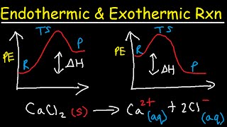 Endothermic and Exothermic Reactions [upl. by Aretta704]