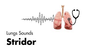 Stridor  Lung Sounds  MEDZCOOL [upl. by Gothard]