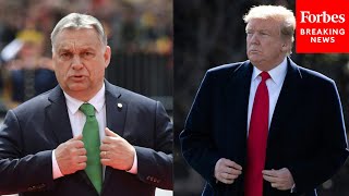 Trump Endorses Hungary’s Viktor Orban [upl. by Aneeh]