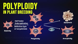 Polyploidy in Plant Breeding [upl. by Airamanna]