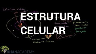 Estrutura Celular  Biologia  Khan Academy [upl. by Ardnohsal]