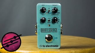 TC Electronic Quintessence Harmonizer Demo Ambient Guitar Gear Review [upl. by Ahsayn]