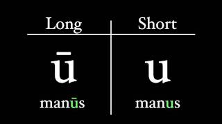 The Latin Alphabet  Vowel Pronunciation [upl. by Ecinrahs]