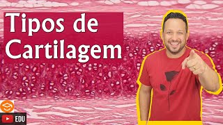 Tipos de Cartilagem  Classificação do Tecido Cartilaginoso  Histologia Animal [upl. by Adah]