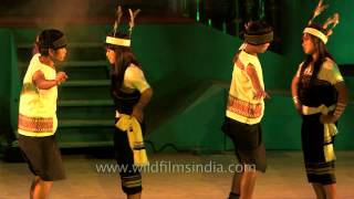 Traditional Thadou Kuki dance at Manipurs Sangai Fest [upl. by Eisor]