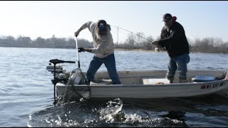 How to Properly Net a Fish  Beckman Nets [upl. by Gennaro]