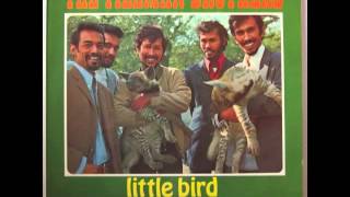 Tielman Brothers  Little Bird [upl. by Nylasej]