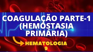 COAGULAÇÃO PARTE1 HEMOSTASIA PRIMÁRIA  HEMATOLOGIA  AULA 9 [upl. by Eenhat]