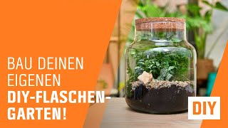 Flaschengarten anlegen  OBI  Indoor Jungle [upl. by Nilyad]