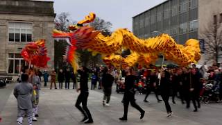 Dragon Dance for Chinese New Year 2020 [upl. by Artined]