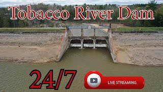 Tobacco River Dam  Michigan  247 HD Live Stream [upl. by Lander]