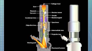 Electron Microscope [upl. by Scales706]