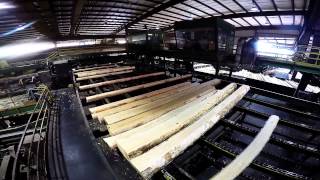 Collums Lumber Products LLC  Sawmill Tour [upl. by Berky628]