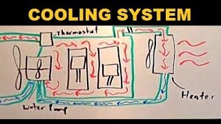 Radiators  Explained [upl. by Agnimod897]