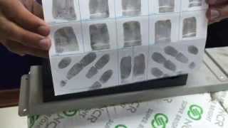 How to Roll Ink Fingerprints [upl. by Einnim779]