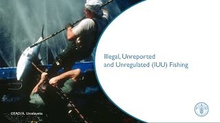 Illegal Unreported and Unregulated IUU Fishing [upl. by Anyg221]