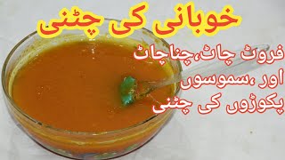 Khubani Ki ChatniHow To Make Dry Apricot SauceEasy and Quick Sauce Recipe [upl. by Anoirb]