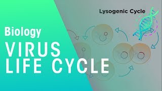 Virus Life Cycle  Health  Biology  FuseSchool [upl. by Nytsyrk515]