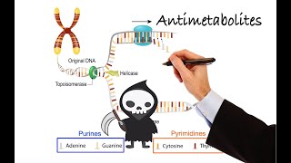 Pharmacology  CANCER DRUGS  ANTIMETABOLITES MADE EASY [upl. by Nnairol]