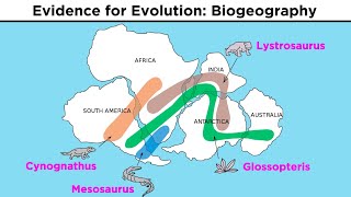 The Evolution of Populations Natural Selection Genetic Drift and Gene Flow [upl. by Dalt]