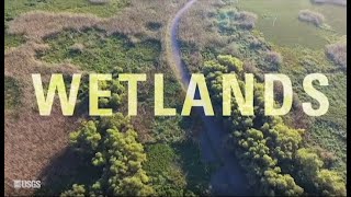 What makes a wetland a wetland Part 1 [upl. by Meli]