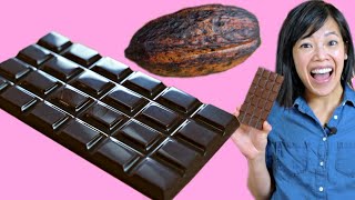 Cocoa POD to CHOCOLATE Bar  How to Make A DIY BeantoChocolate Bar at Home [upl. by Garrik]