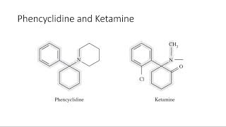 Lecture 21 Psychedelic Drugs Part 2 Hallucinogens [upl. by Romito]