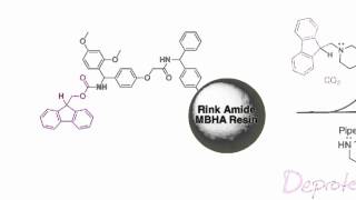 Fmoc Solid Phase Peptide Synthesis [upl. by Dollie]