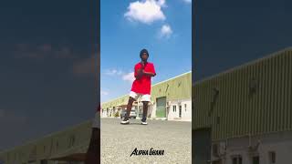 Kuami Eugene  Canopy Official dance aliphaghana [upl. by Erehc]