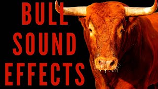 BULL SOUND EFFECTS  How Do Bull Sounds [upl. by Yrolg]